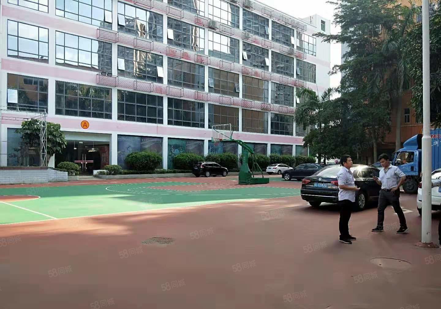 可分租，南联精装修1000平整层电商办公厂房仓库出租！有红本