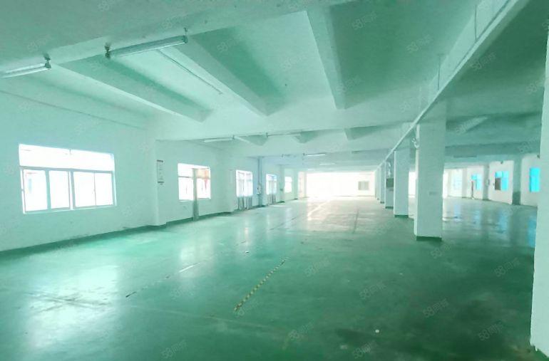 实际面积 坂田大工业园一楼二楼各1500平仓库厂房出租可分租