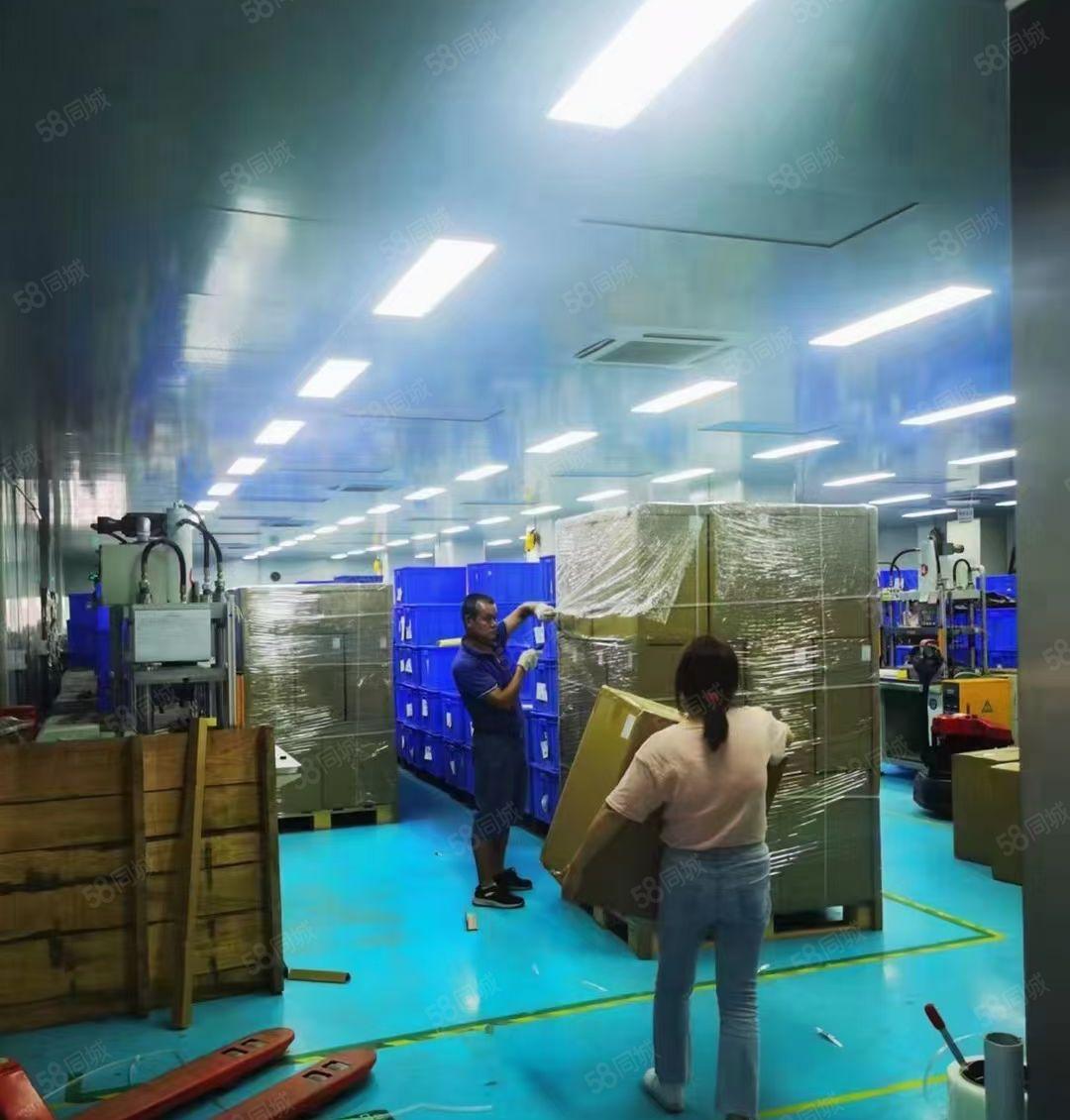 龙岗爱联嶂背园湖路独门独院4000平原房东带装修厂房出租分租