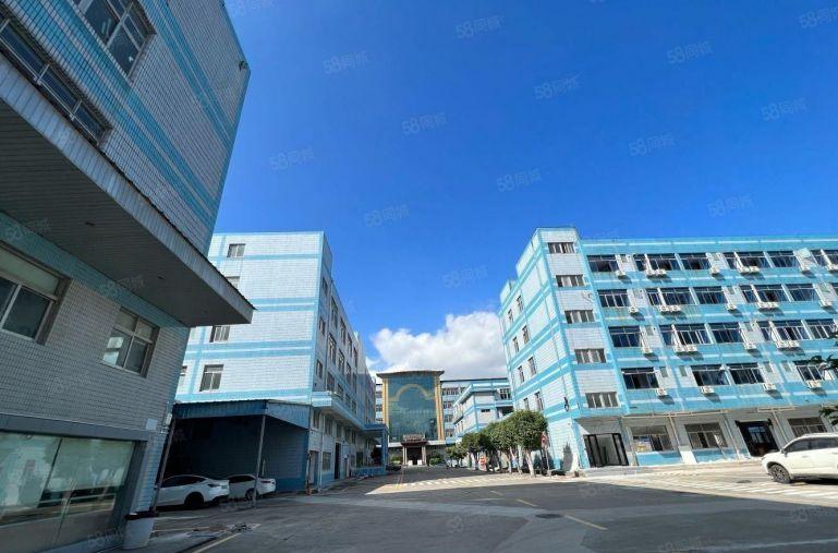 层高9米一楼，横岗六约新村红本厂房出租，不限行业