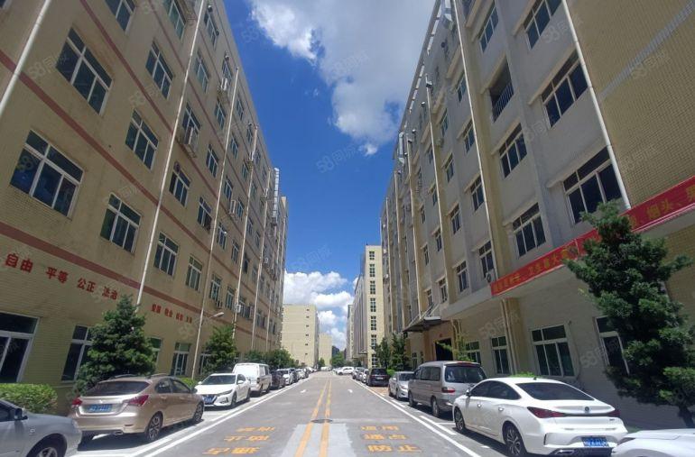 宝龙大型科技园新出一楼1000平方全新装修厂房出租