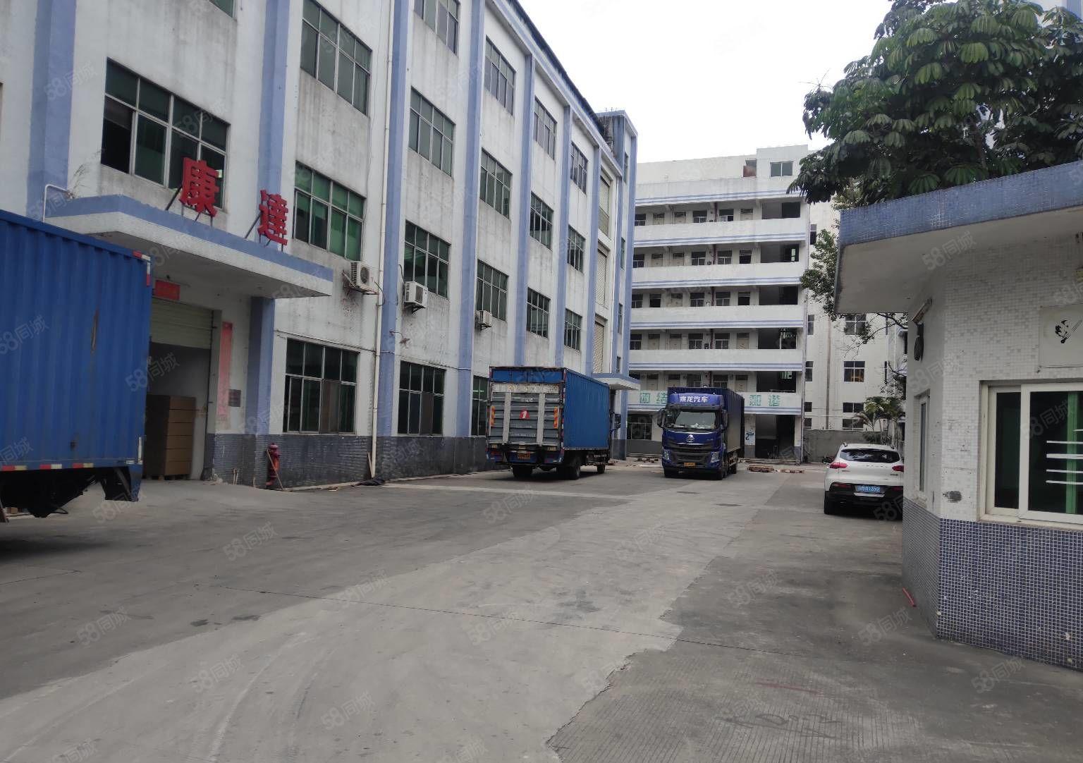 龙岗同乐新出原房东红本独院8000平带装修厂房出租可分租一楼