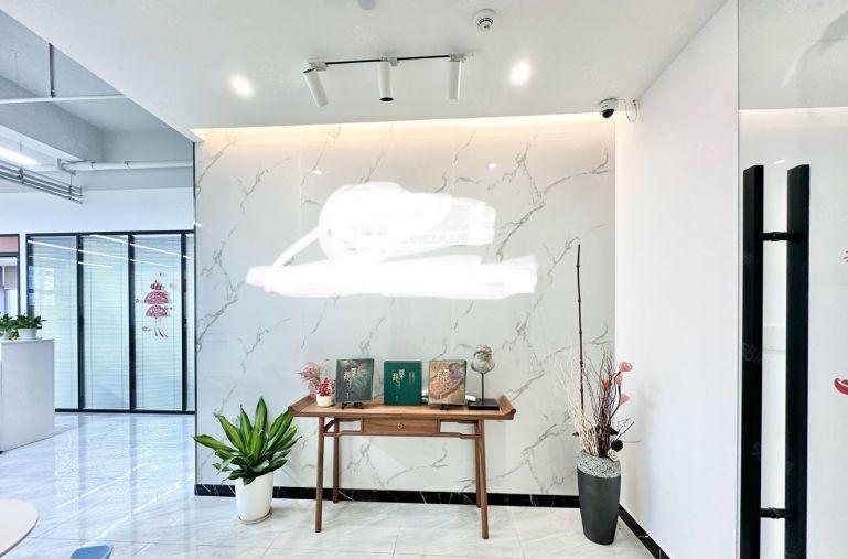 坂田双子塔产业园236平精装电商办公室厂房出租仓库出租地铁口