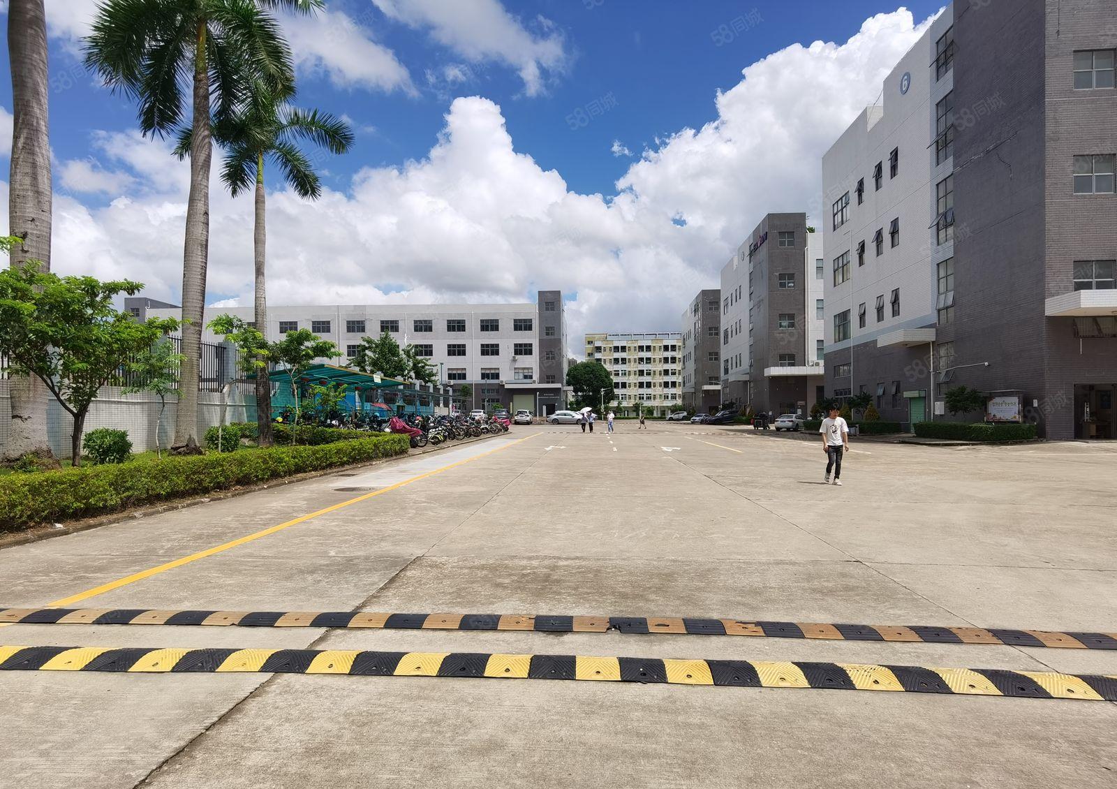 坪地高桥工业区新空出独栋厂房1万平方厂房出租500平起租