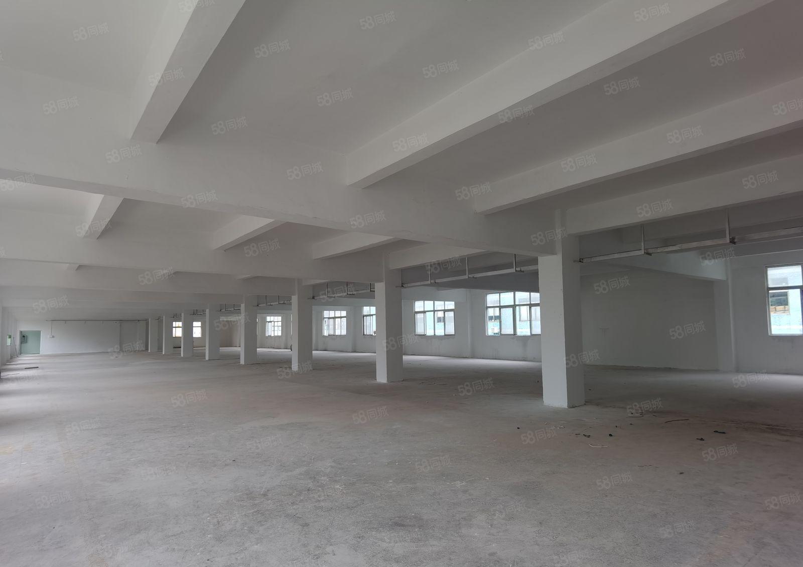 带红本！空地大！高速口！龙岗独院11000平米厂房出租