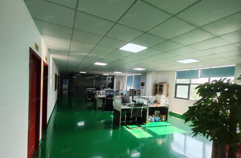 龙岗中心城工业园原房东红本独门独院6000平方厂房仓库可分租