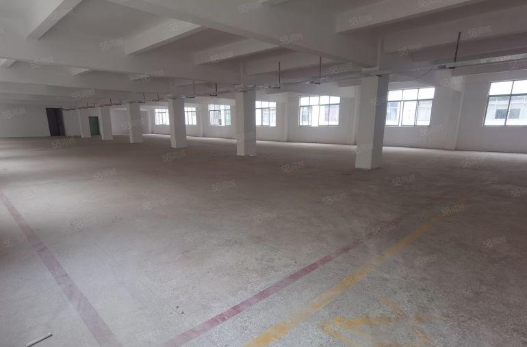 龙岗宝龙工业区原房东6000平厂房仓库出租500平起分租