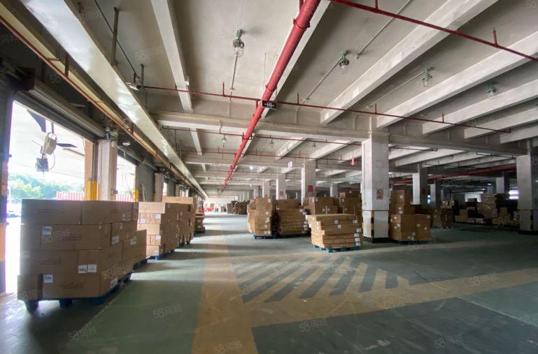 坂田物流仓库厂房出租2000平大小可分300起