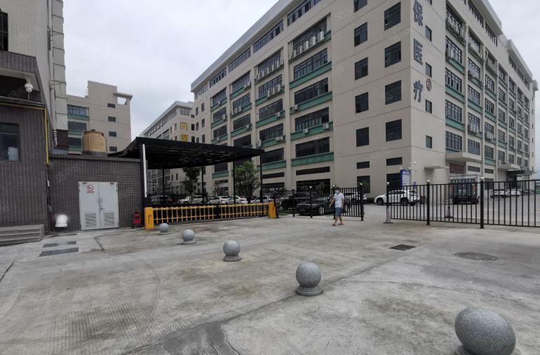 100平起龙岗坪地5000平高薪工园区带装修办公仓库厂房出租