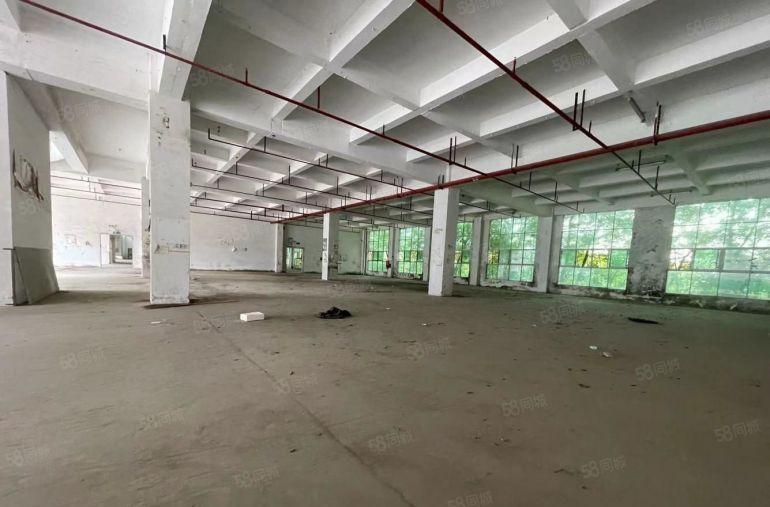 横岗荷坳独门独院直租原房东8000平空地