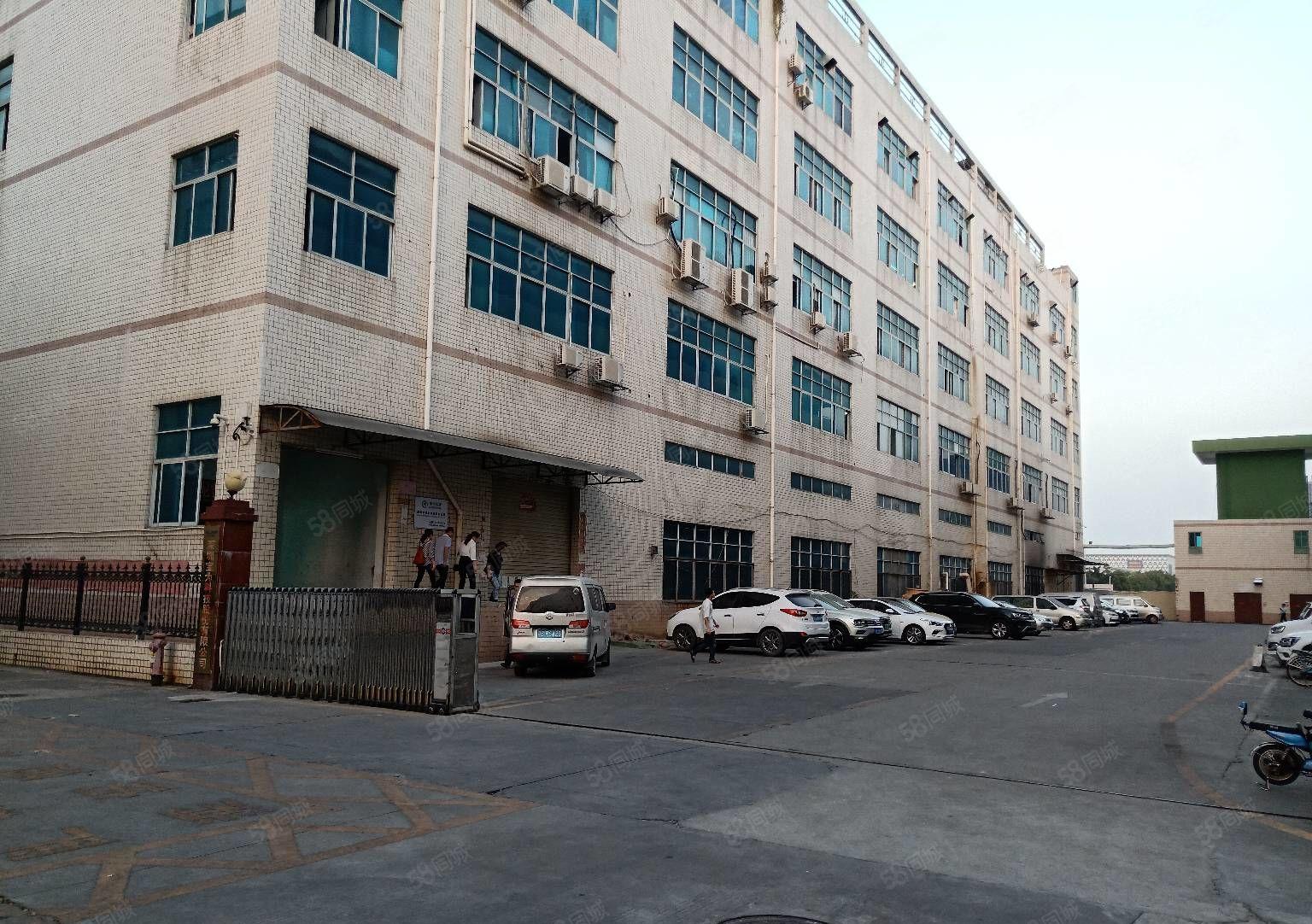 平湖新出500平800平1500平一二楼大小面积厂房仓库出租