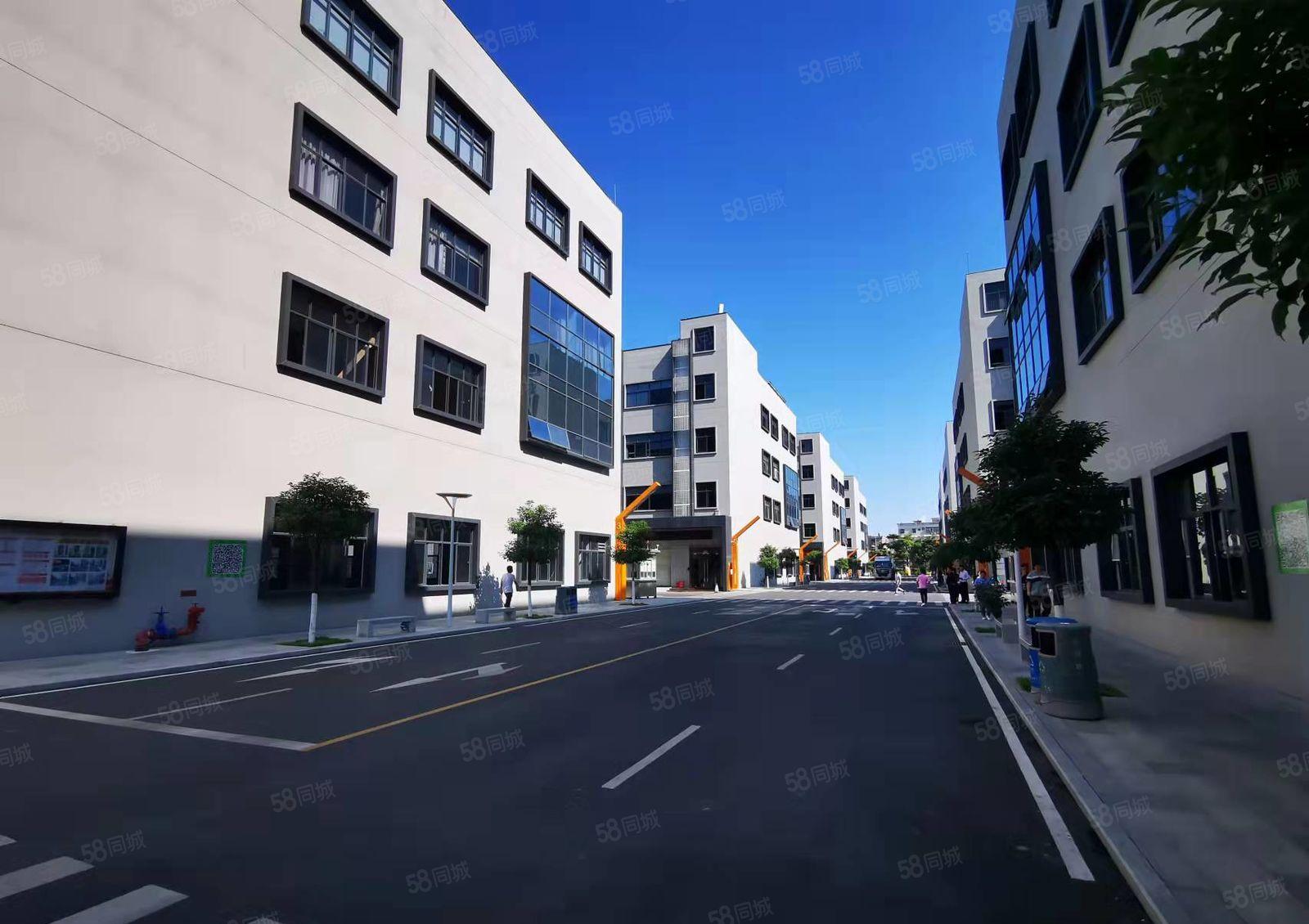 六约大型电商园新出2层共2000平带精装修办公室仓库厂房出租