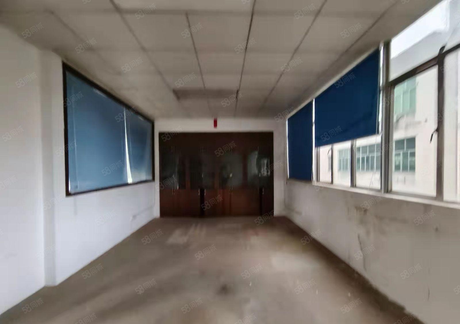 坂田阪李大道新出整层厂房1300平招租，带装修面积实在