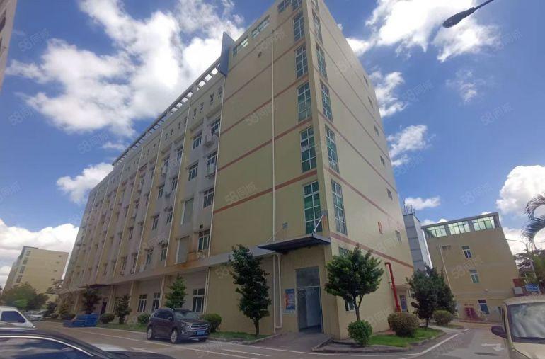 龙岗宝龙原房东楼上1000平方带精装修办公室厂房仓库出租