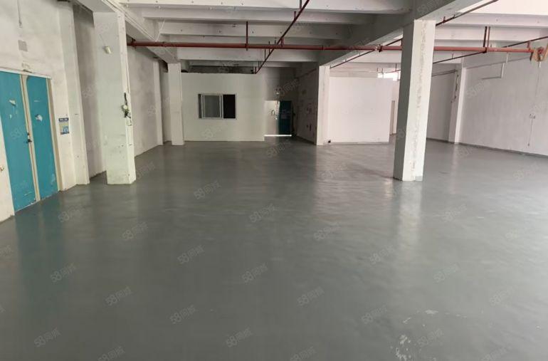 房东招租龙岗李朗100至800平送免租特价17元