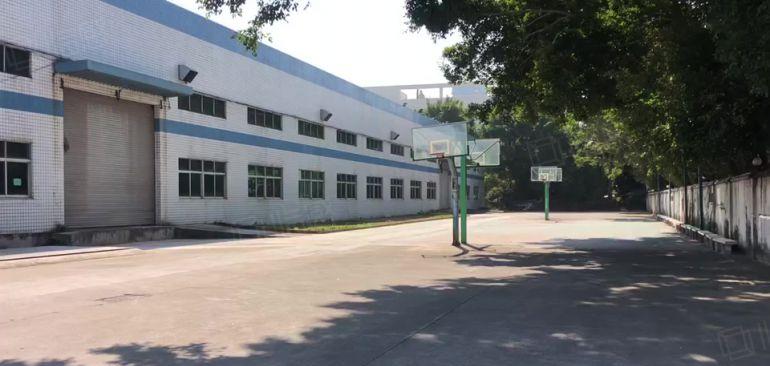 宝龙新出红本独栋钢构3000平方，滴水9米，中间无柱子空地大