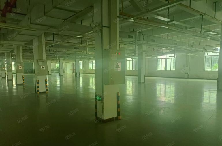 龙岗坪地坪东实际面积2200平带现成水电办公室装修地坪漆