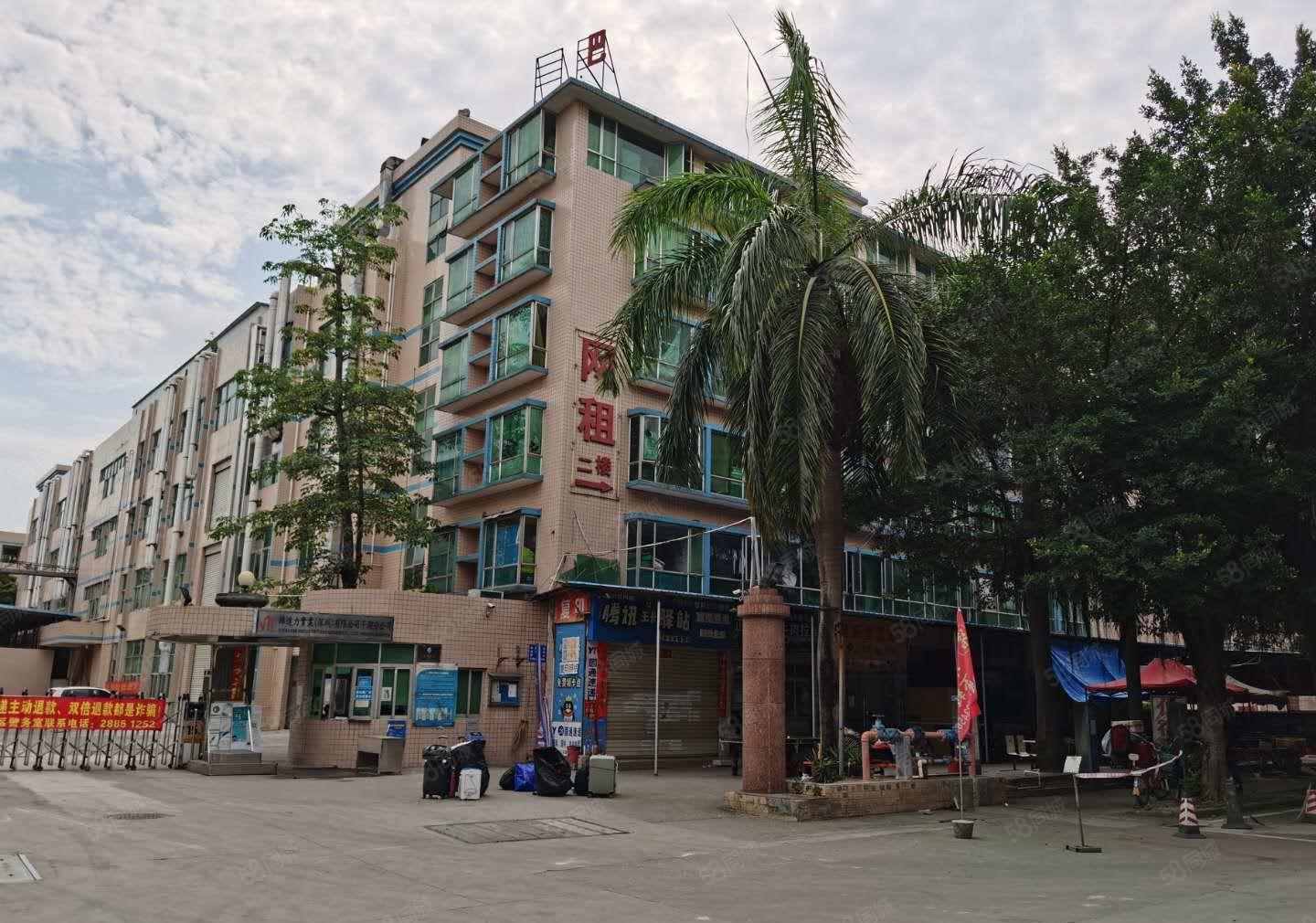 23元起租华南城旁独院厂房出租仓库招租易招工交通便利