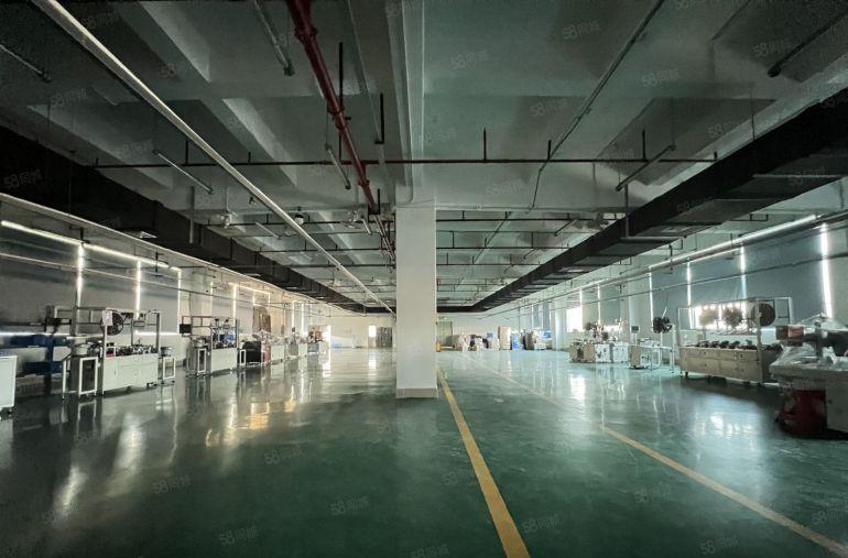 15元租同乐独门独院一楼750至2200平厂房仓库出租空地大