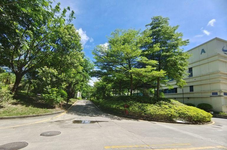 横岗六约原房东楼上500平方带精装修办公室厂房仓库出租