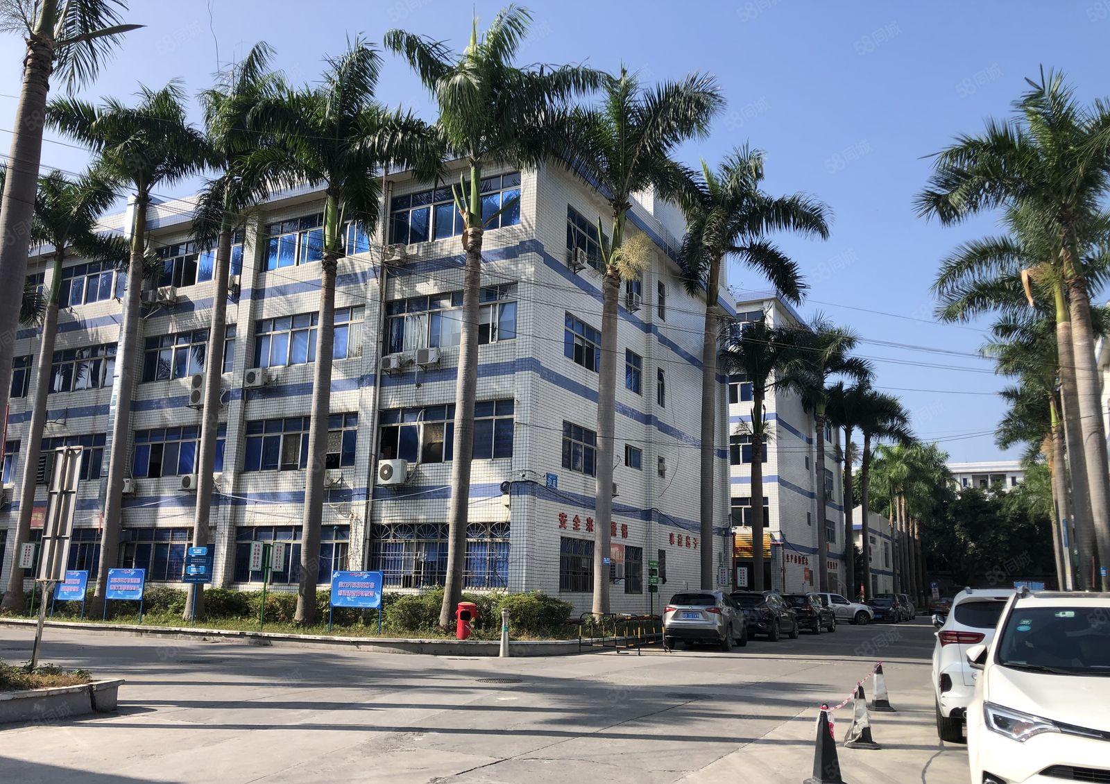 龙岗中心城新出3楼1000平米带精装修前台和办公室厂房出租