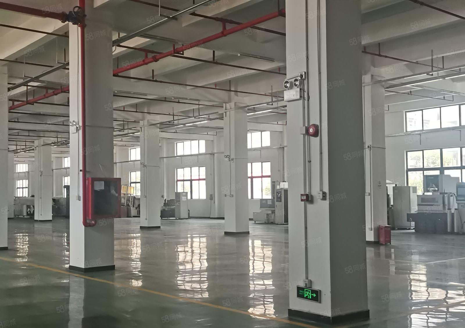 2500平起分龙岗宝龙独栋10000平厂房出租一楼层高6米