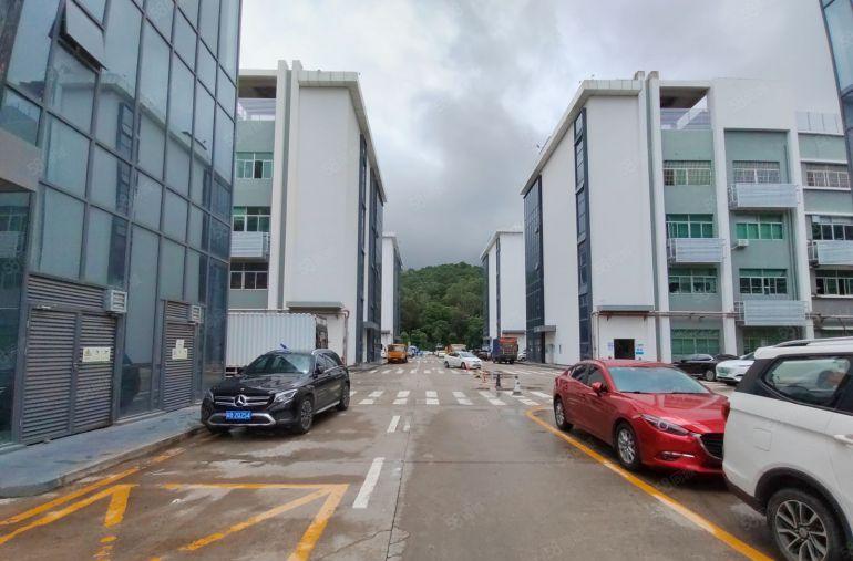 特价19元租平湖红本一楼厂房1000平带精装修现成办公室免佣