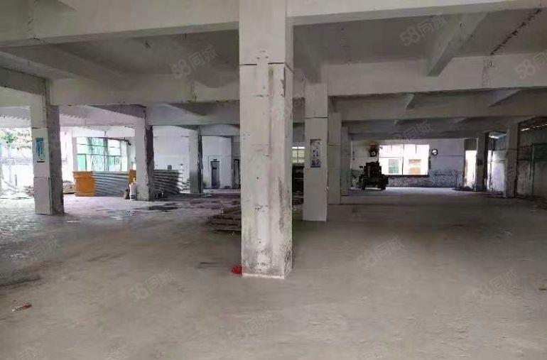 出租平湖山厦20000平方厂房出租仓库招租带现成装修