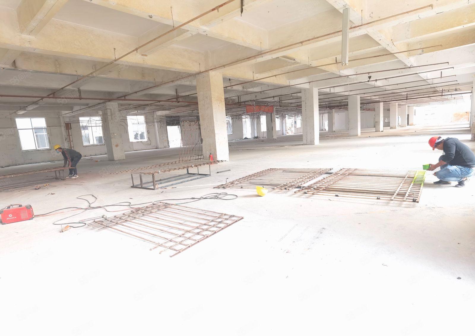 坂田雪象，整栋11500平方，可以分租，一共4层！