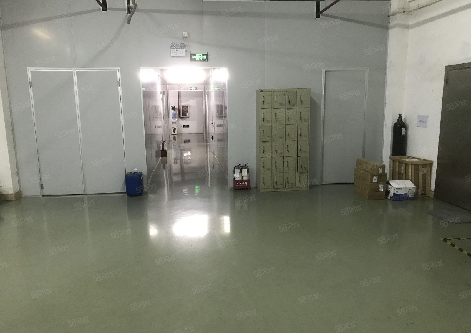 转让或分租无尘车间厂房580平（龙岗宝龙）