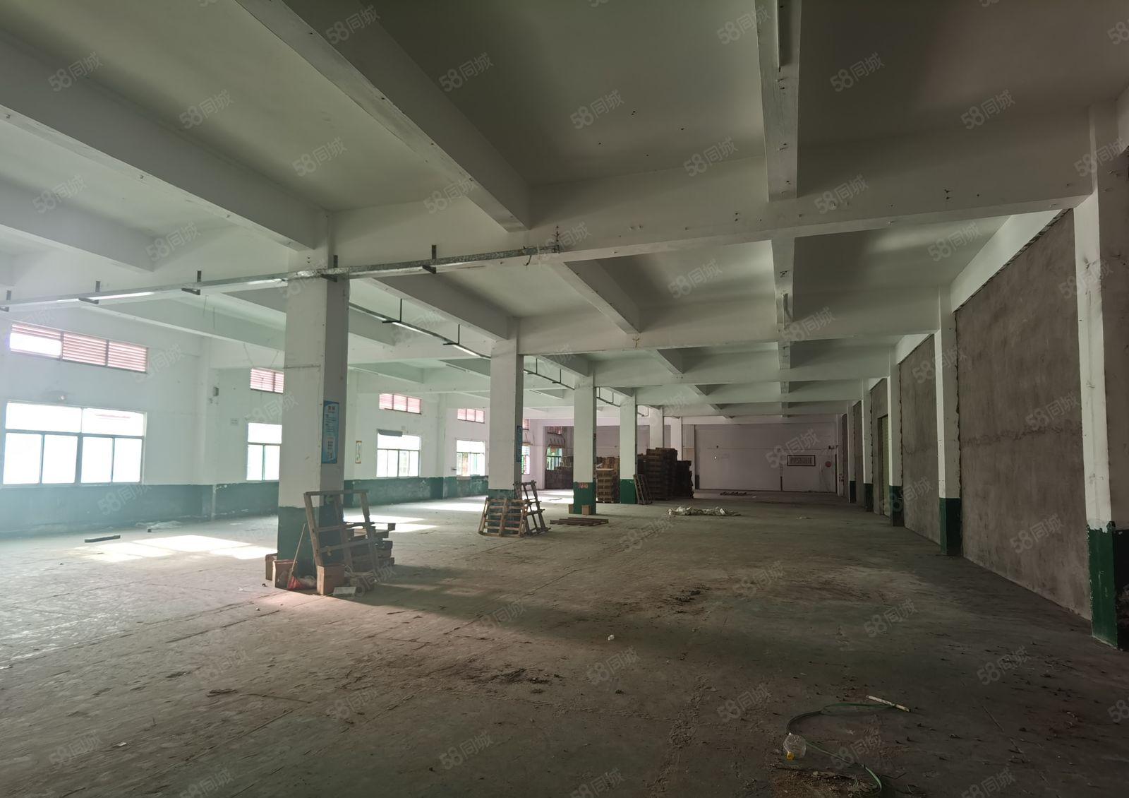 200平起分租！五联龙西第三工业区新出1200平米厂房出租