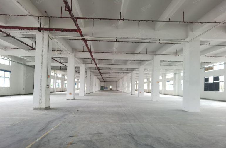 龙岗宝龙科技园原房东红本独院厂房仓库7000平出租一楼层高6