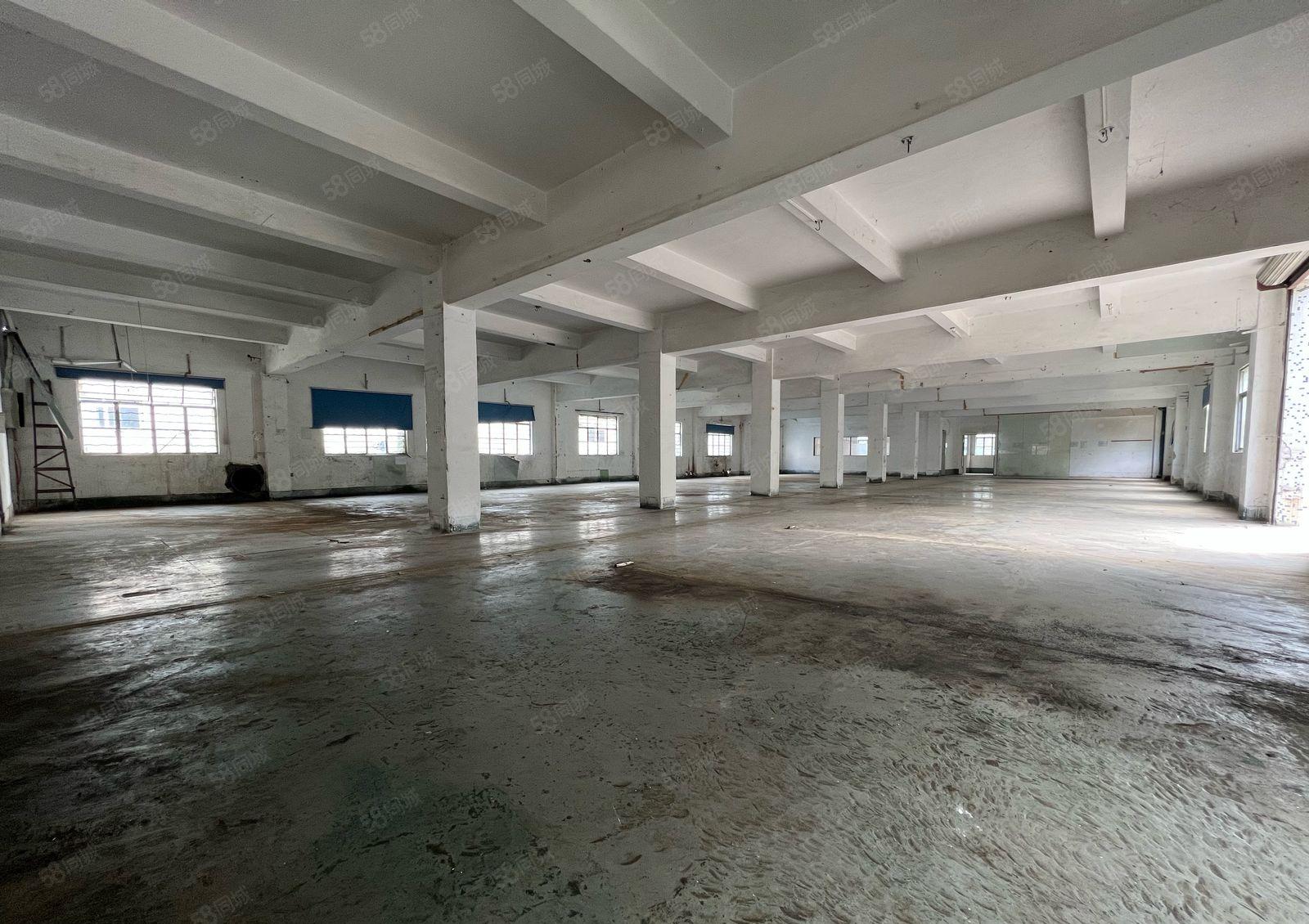 小独院！带装修！23块村委独院出租空地大使用率高适合仓储配送