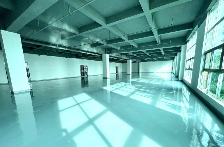 横岗精装修1300平全落地窗，消防喷淋空地大，大货车随意掉头