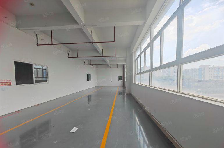 龙岗宝龙比亚迪边上工业园厂房出租楼上精装870平报价18