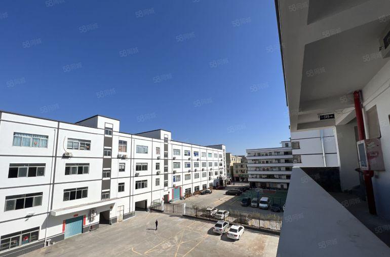 横岗原房东实际面积独院一楼厂房1200平方仓库出租带消防喷淋