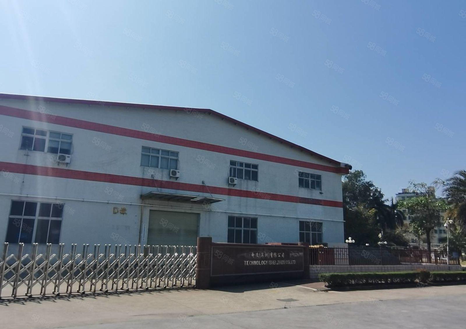 龙岗深汕路附近1000平起租全新钢构厂房出租报价26滴水7米