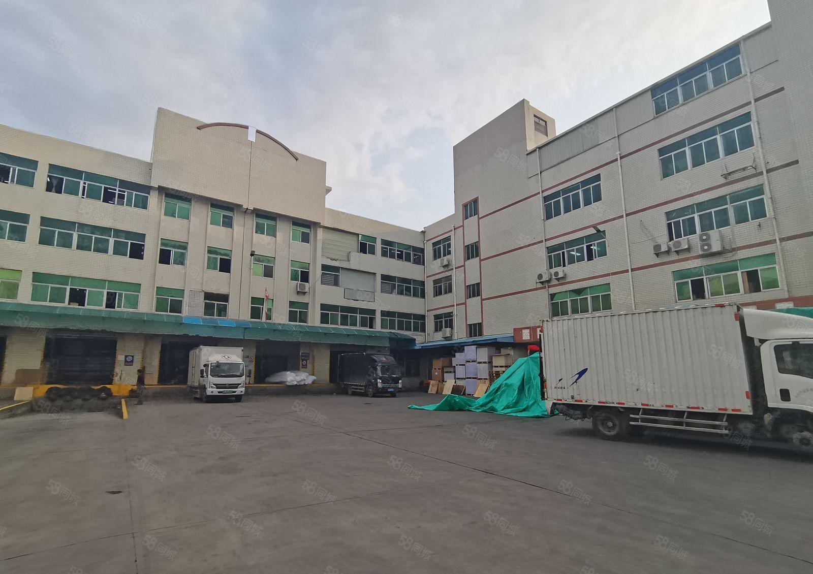 平湖华南城旁一楼5000平带卸货平台仓库厂房出租可分租空地大