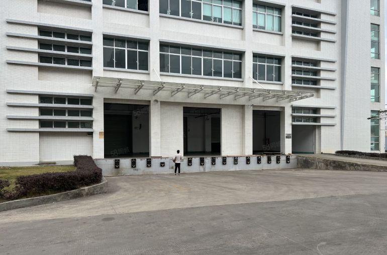 平湖华南城原房东一楼厂房1500平方出租带卸货平台拖头车随进