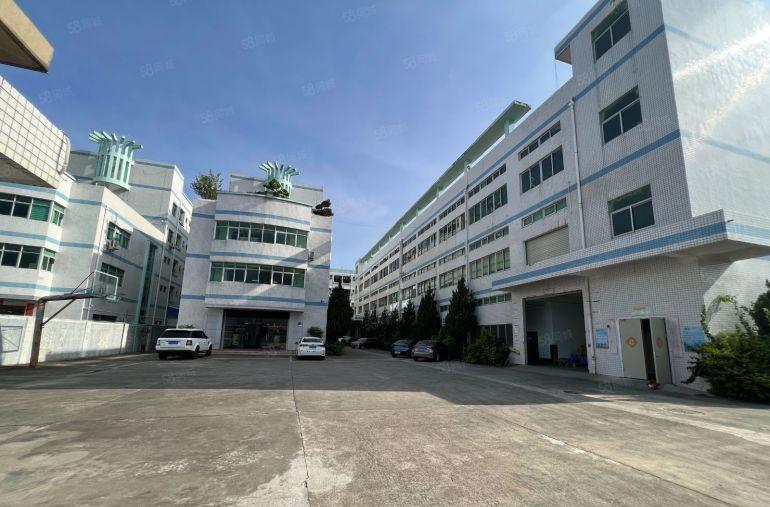 合同8年带红本村委厂房直租宝龙新出6000平独门独院厂房出租