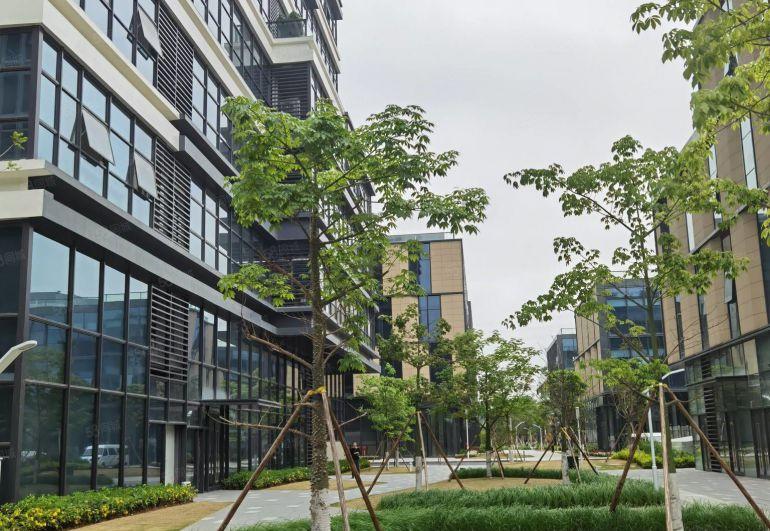 深圳里的凤岗京东红本厂房买卖1000平起售价格美丽也可租