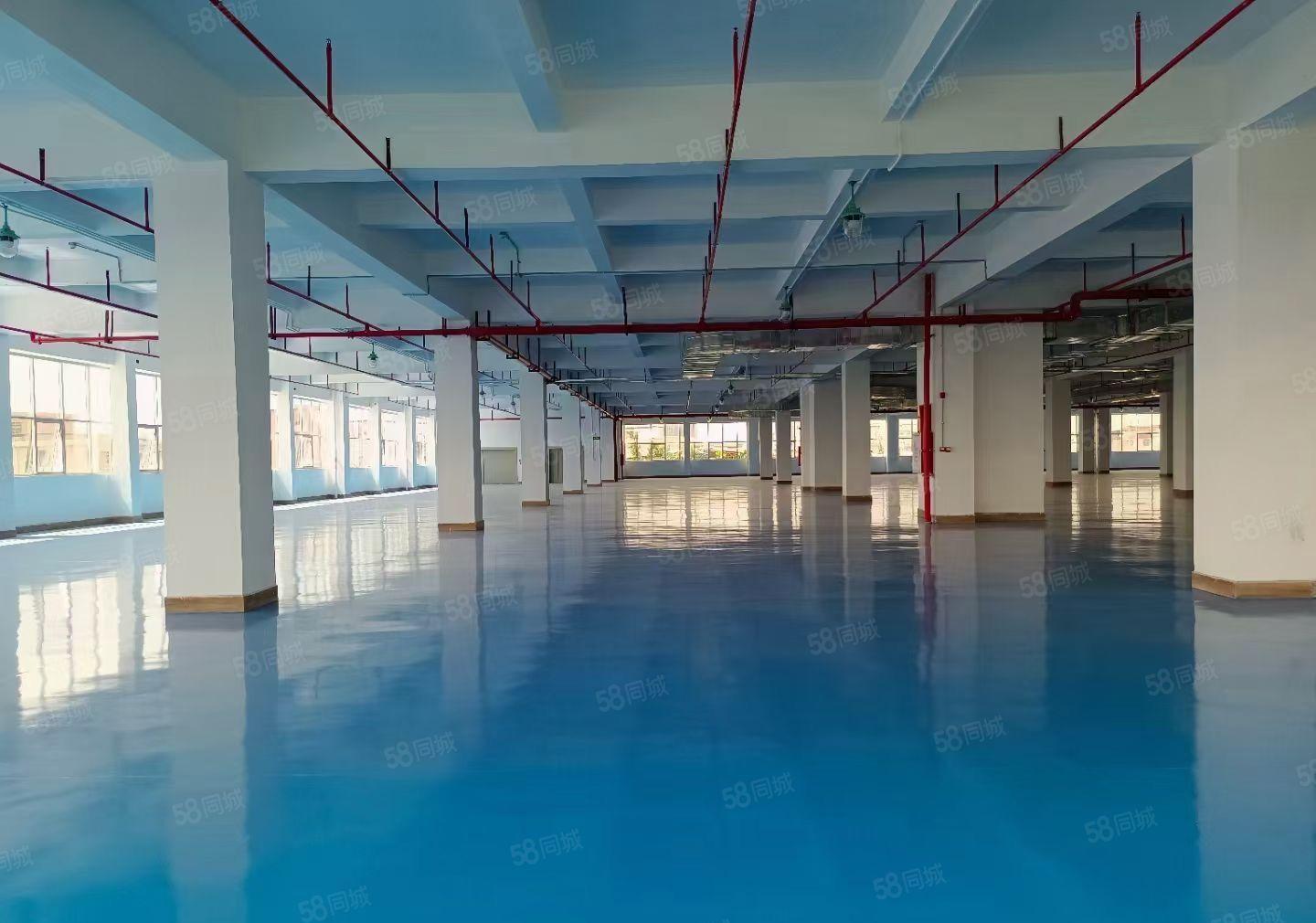 横岗工业园新出楼上2000平精装厂房仓库出租带消防喷淋地坪漆