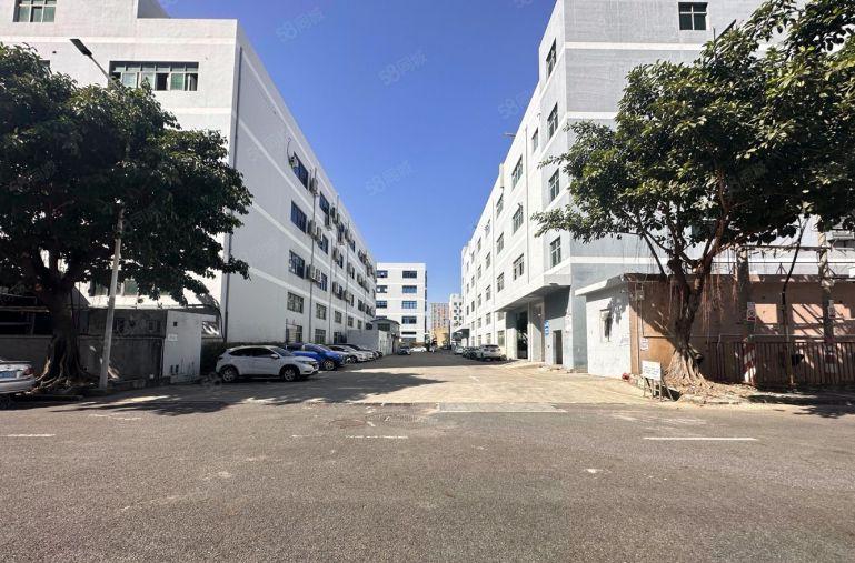 横岗六约300平方至5000平方厂房出租 原房东1楼仓库出租