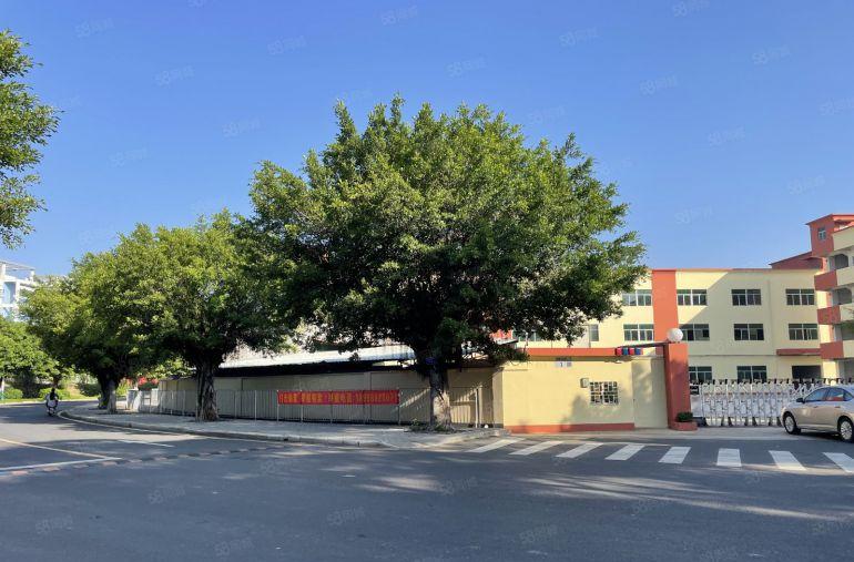 超大空地龙岗横岗独门独院6000平方厂房仓库低价出租