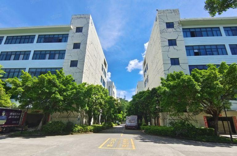 横岗六约原房东楼上500平方带精装修办公室厂房仓库出租