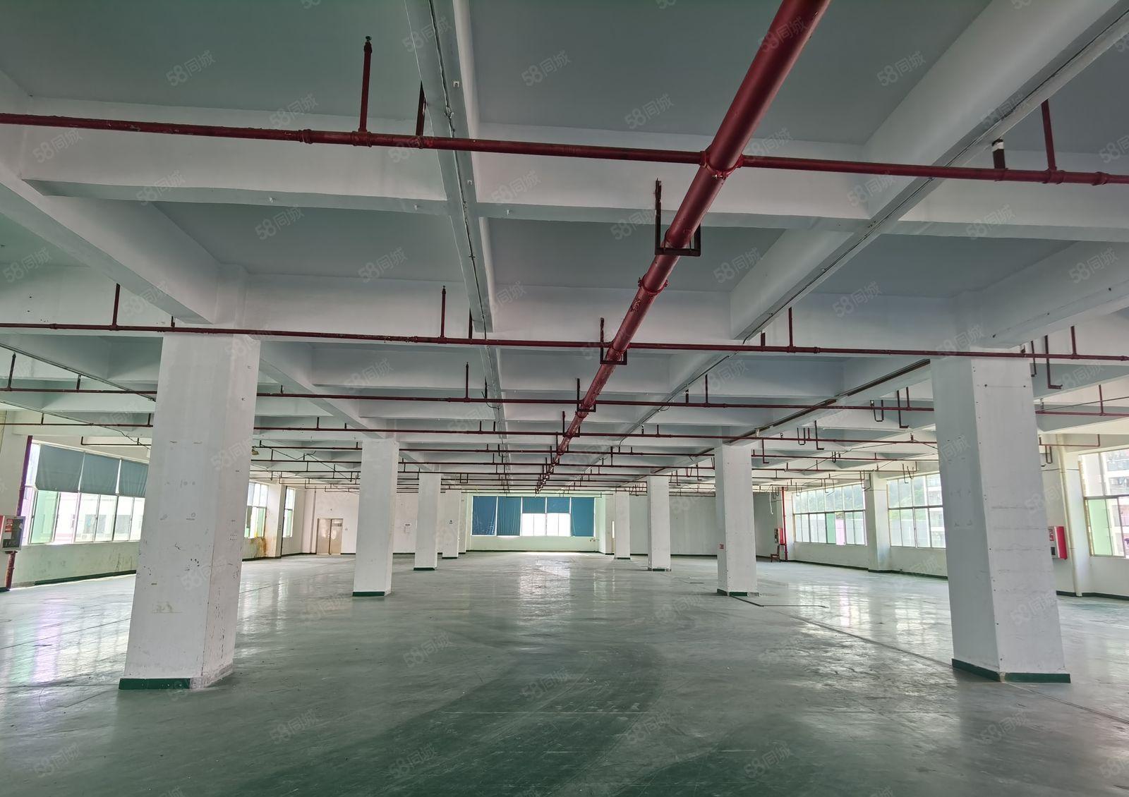 业主直租！龙岗五联大型工业区单层面积1882平厂房仓库出租