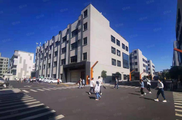 坂田岗头大型科技园新空出300平方带精装修办公室仓库厂房出租