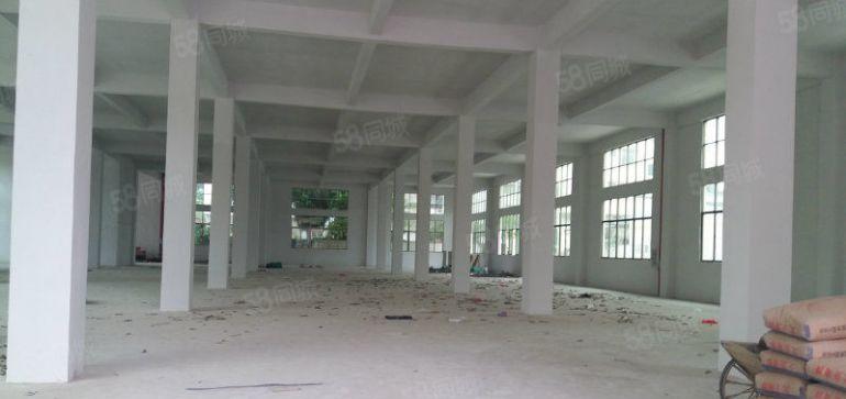 原房东厂房 横岗六约一二楼500平 带装修 可分租 上水高速