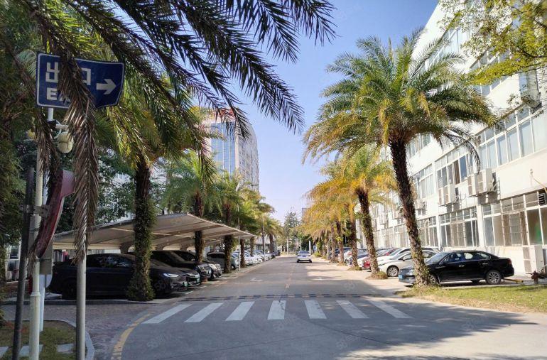 龙岗宝龙地铁口原房东工业园楼上500平带装修厂房出租 可分租