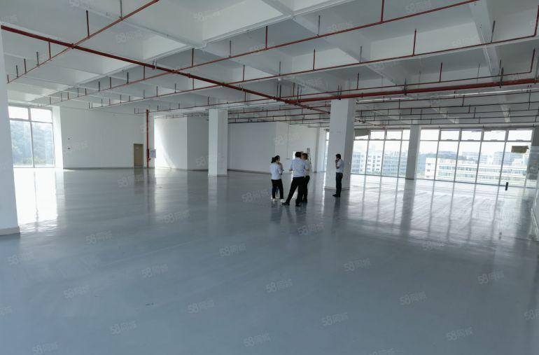 龙岗坂田地铁电商园厂房楼上1000平办公厂房仓库出租